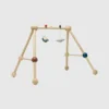 Play Gym