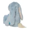 River the Blue Snuggle Bunnies