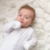 The Gilded Bird Safari Toile Quilted Playmat