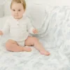 The Gilded Bird Spring Toile Bamboo Baby Blanket