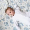 The Gilded Bird Spring Toile Quilted Playmat
