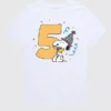 Toddler Peanuts 5Th Birthday Short Sleeve Graphic T-Shirt