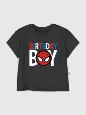 Toddler Spider-Man Birthday Boy Graphic T-Shirt