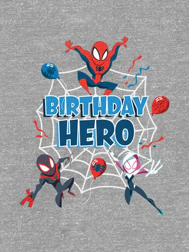 Toddler Spiderman Birthday Hero Graphic T-Shirt