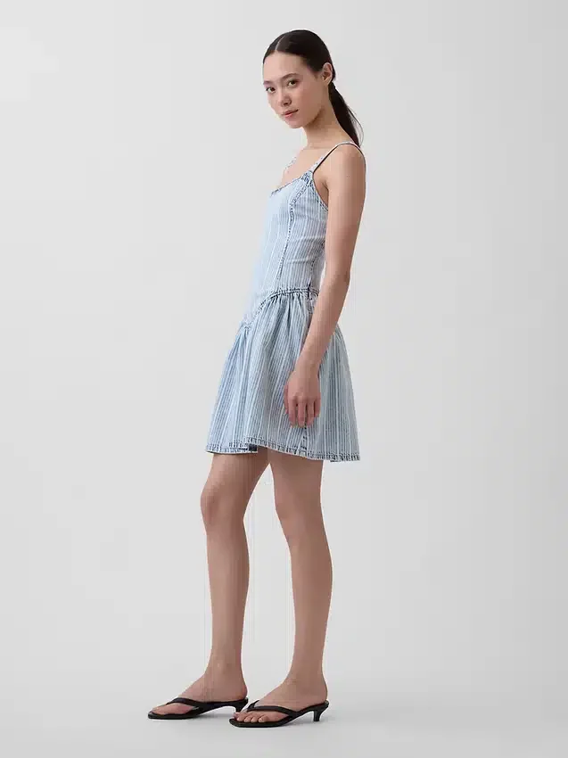 Ultrasoft Denim Stripe Drop-Waist Mini Dress