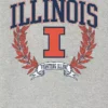 University of Illinois Laurels Dark Graphic T-Shirt