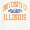 University of Illinois Vintage Fighting Illini Graphic T-Shirt