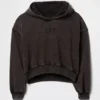 Vintagesoft Crop Logo Hoodie