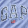 Vintagesoft Oversized Americana Logo Hoodie
